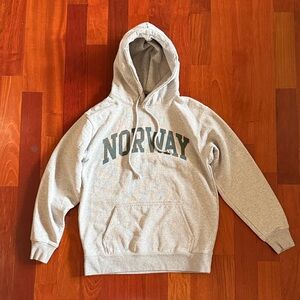 Brandy Melville Gray Hoodie Sweater
